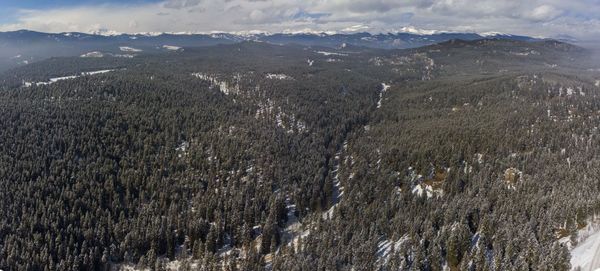 Aerial view of snow covered land