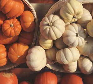 Close-up of pumpkins in basket