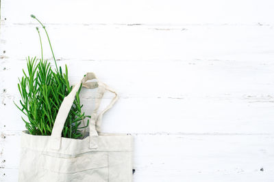 Plants growing on table against white wall