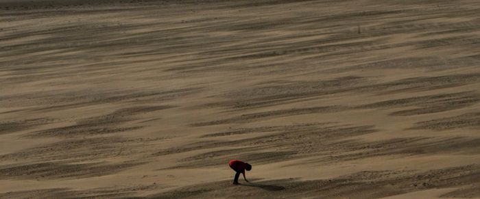 High angle view of person walking on desert