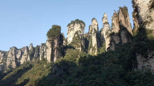 Low angle view of trees on mountain against clear sky