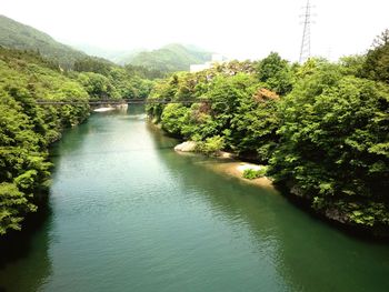 River amidst trees against sky