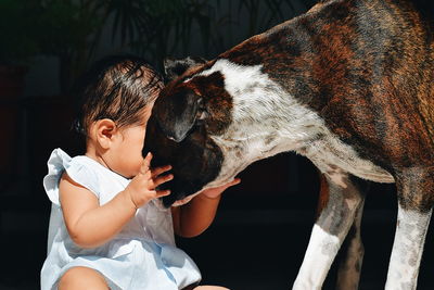 Close-up of baby girl playing with boxer dog