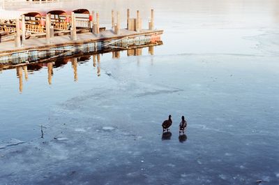 High angle view of people on wet lake during winter