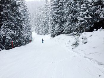 Man skiing on snow covered landscape