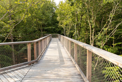 The new tree-top walk in heringsdorf as a holiday destination