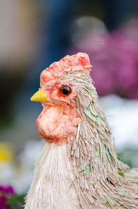 Close-up of chicken