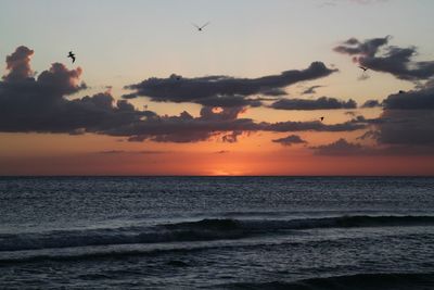 Sunset over sea in siesta key
