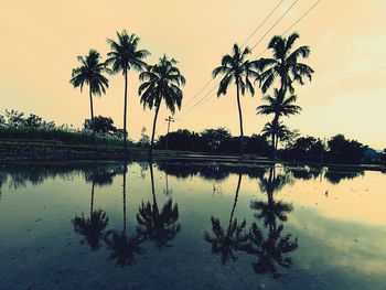 Silhouette palm trees by lake against sky during sunset