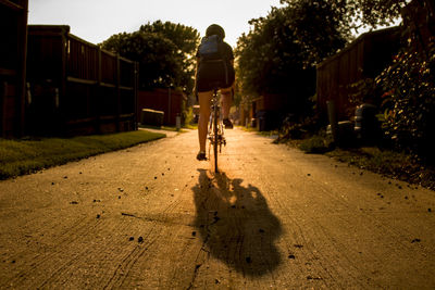 Rear view of man riding bicycle