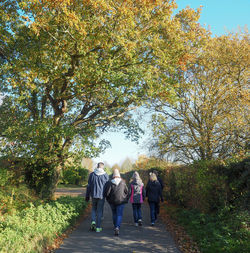 Rear view of people walking on road amidst trees