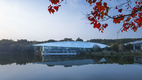 Reflection of trees in lake against sky