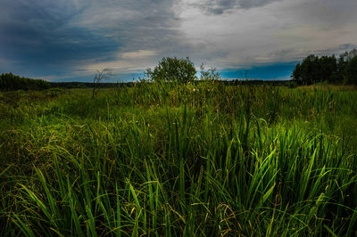 Scenic view of field against cloudy sky