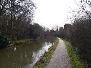 View of canal along trees