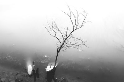 Silhouette bare tree by plants against sky