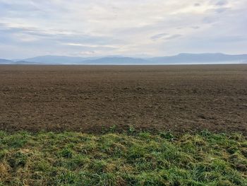 Scenic view of field against sky