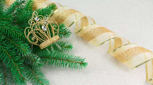 Close-up of christmas tree