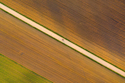 Aerial view of road through fields