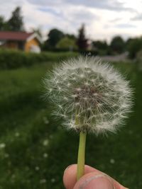 Close-up of hand holding dandelion against sky