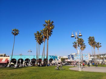 Panoramic view of people on palm trees against clear blue sky