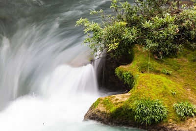 Scenic view of waterfall in forest