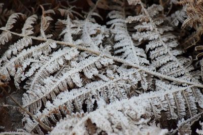 Full frame shot of snow