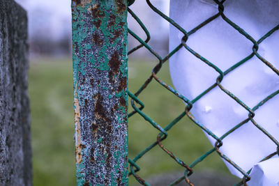 fence