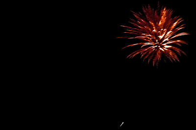 Low angle view of firework display at night