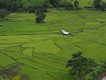 High angle view of green landscape