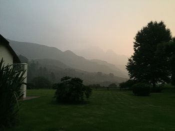 Trees on field against sky