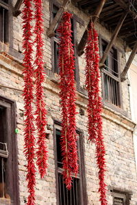 Low angle view of red lanterns hanging on built structure