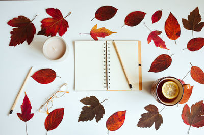 High angle view of red leaves on table