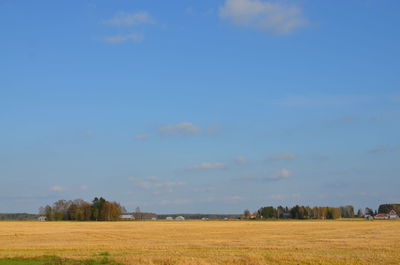 Scenic view of agricultural field against blue sky