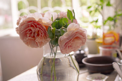 Close-up of pink roses on table