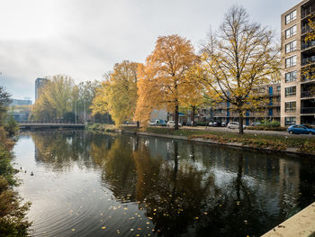 Reflection of trees in lake against sky in city