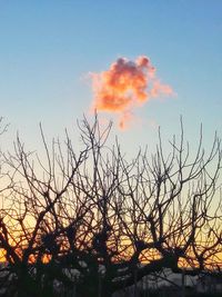 Low angle view of silhouette bare tree against sky during sunset