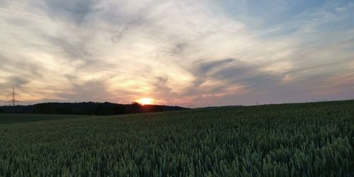 Scenic view of agricultural field against sky during sunset