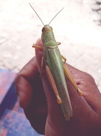 Close-up of person holding stick