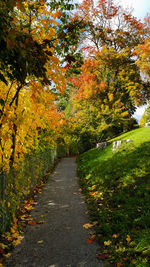 Footpath amidst trees during autumn