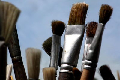 Close-up of paintbrushes against sky