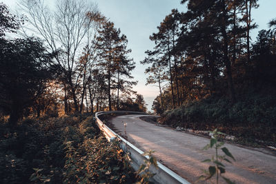 Road by trees against sky during autumn