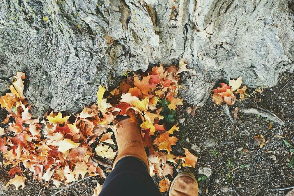 low section, person, leaf, personal perspective, autumn, shoe, standing, high angle view, human foot, change, lifestyles, unrecognizable person, leaves, dry, men, fallen, nature