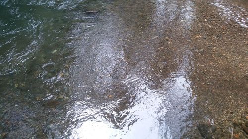 Close-up high angle view of water