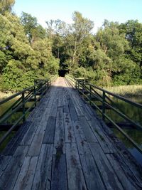 Boardwalk amidst trees against sky