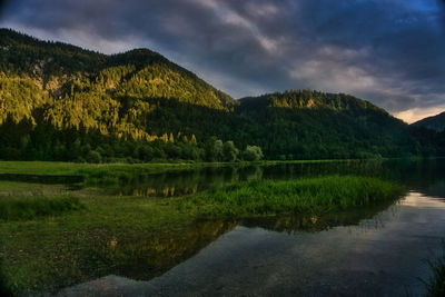 Scenic view of lake by trees against sky