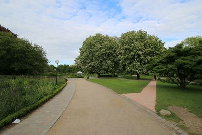 Footpath amidst trees