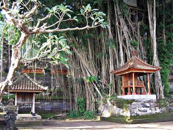 Wooden house with trees in background