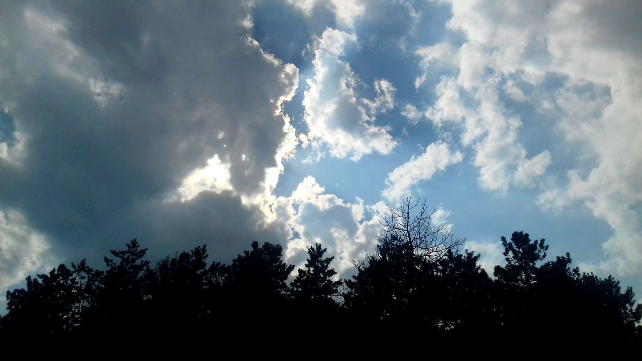 low angle view, sky, cloud - sky, silhouette, tree, nature, beauty in nature, no people, tranquility, scenics, growth, outdoors, treetop, day