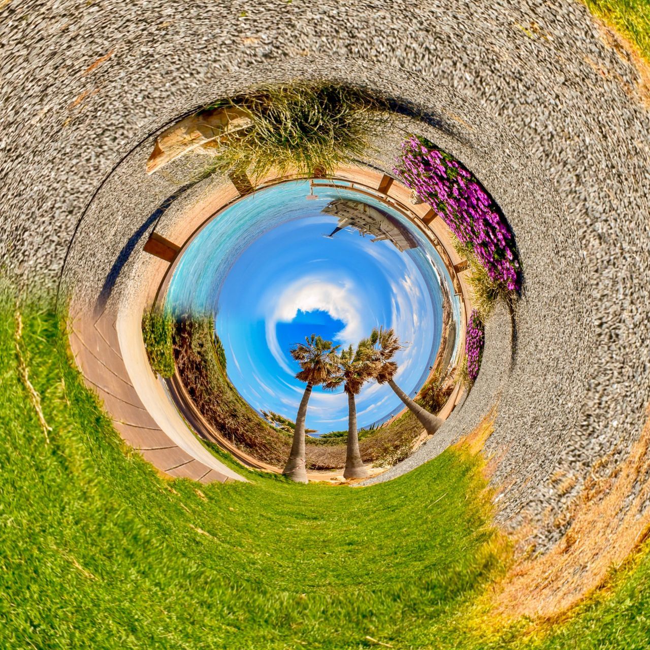 plant, grass, nature, day, geometric shape, circle, tree, shape, no people, well, architecture, fish-eye lens, outdoors, water, built structure, reflection, land, field, wall - building feature, digital composite