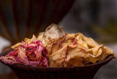 Close-up of food